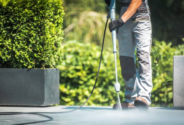 Best Dumpster Area Cleaning  in Tara Hills, CA